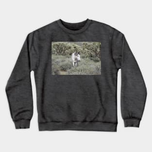 Wild horses, wildlife, gifts, Arizona, Lone Spirit Crewneck Sweatshirt